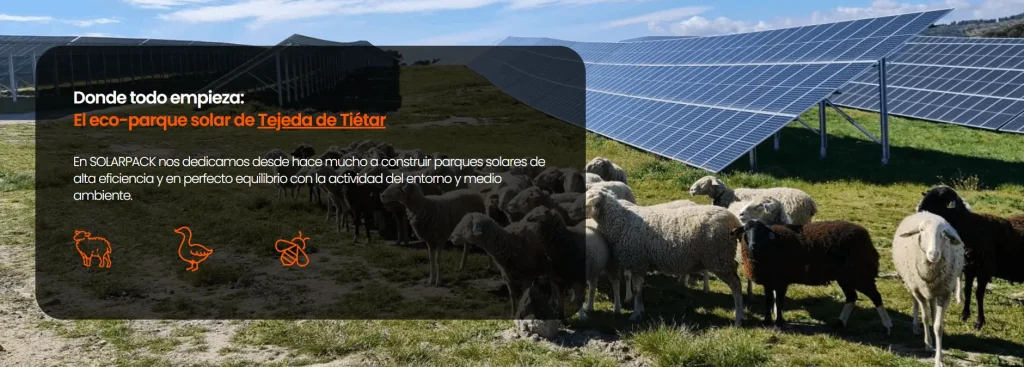 Donde todo empieza:
El eco-parque solar de Tejeda de Tiétar